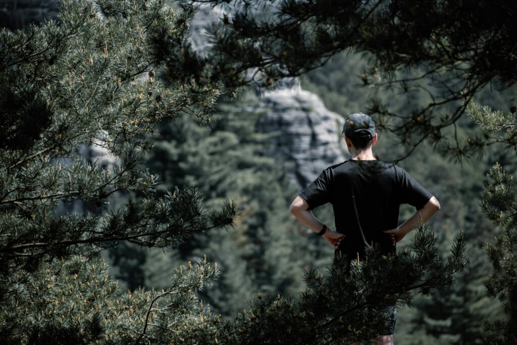 Back view of a man admiring the dense green forest in Český Ráj, Česko.
